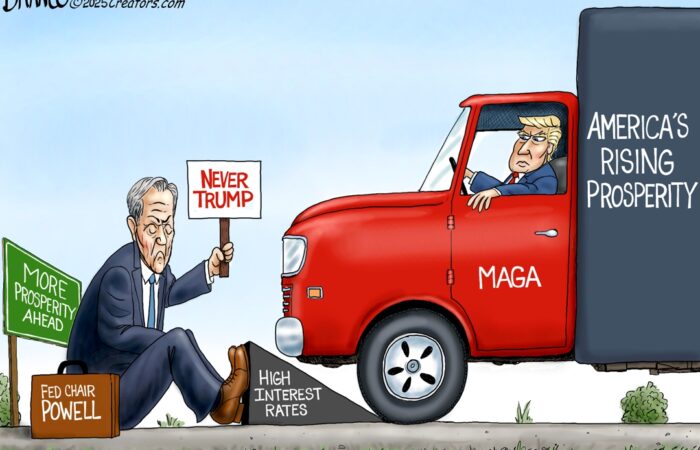 Branco Cartoon – Fed Chair Knucklehead