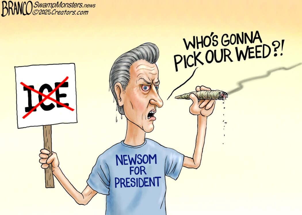 Gavin Newsom Defends Using Illegal Alien Labor