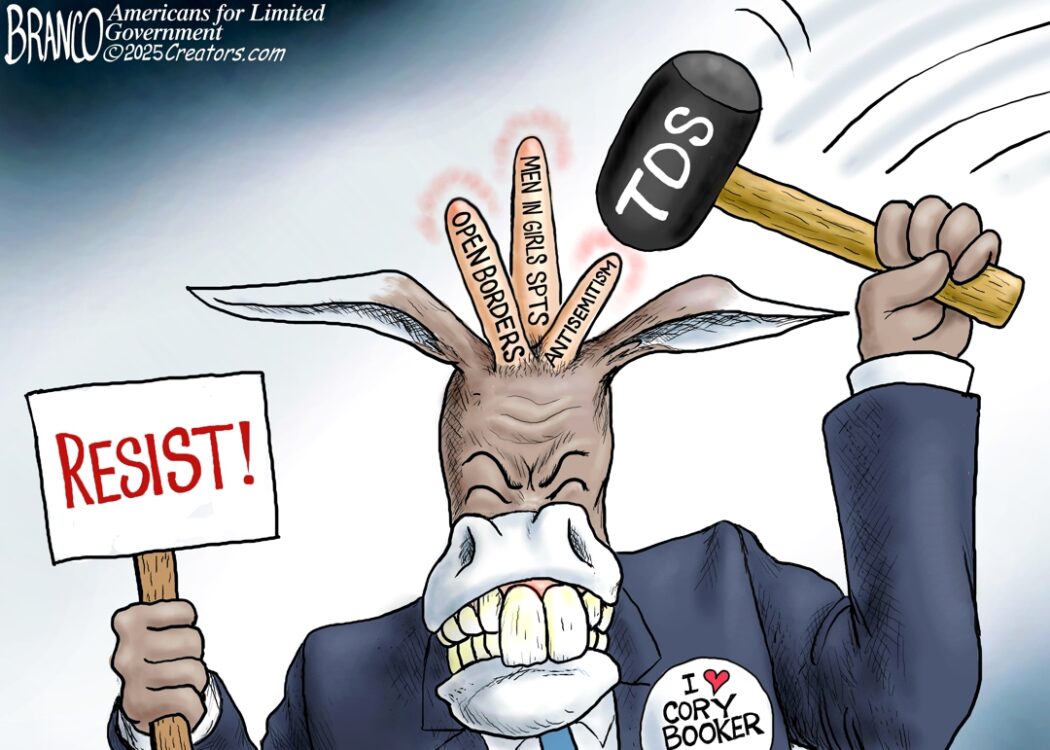 Democrats Keep Hurting Themself – TDS