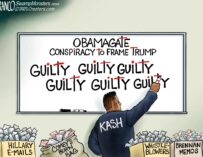 Branco Toon – By The Book