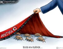 Branco Cartoon – Bugs Of A Feather…