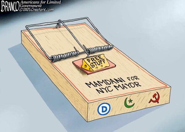 Branco Cartoon – Tasty Trap Bait