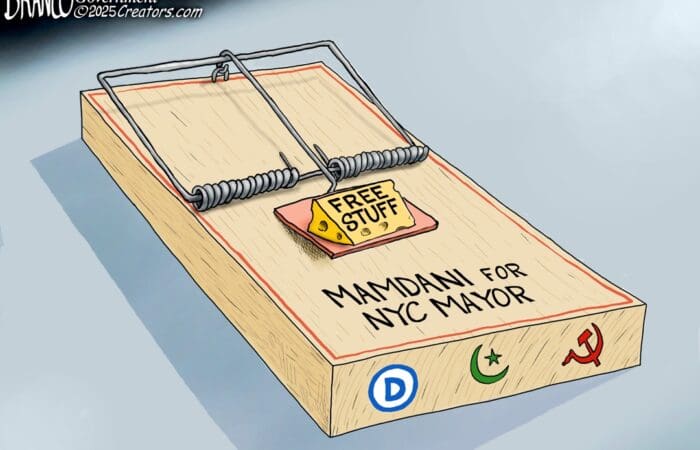 Branco Cartoon – Tasty Trap Bait