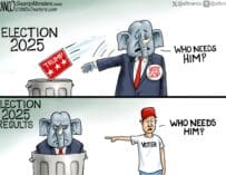 Branco Toon – The Forgotten Voter
