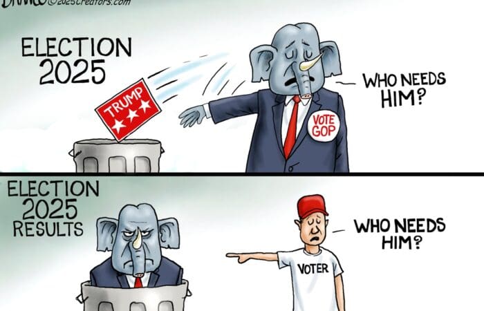 Branco Toon – The Forgotten Voter