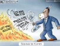 Branco Cartoon – Fire and I.C.E.