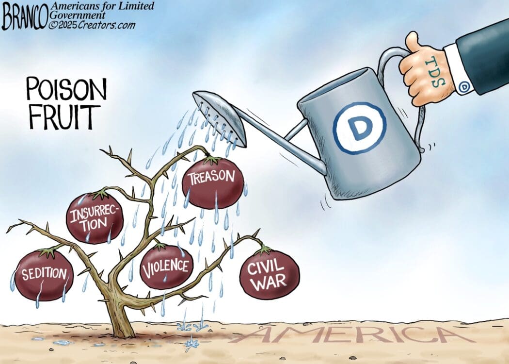 Democrat Sedition