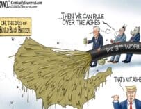 Branco Cartoon – Flooding The Zone