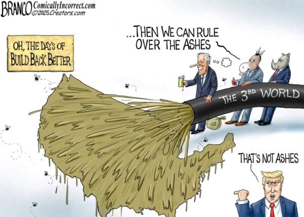 Branco Cartoon – Flooding The Zone