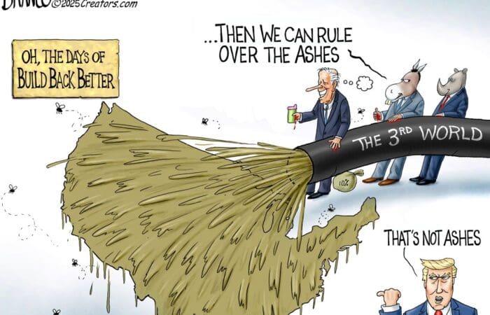 Branco Cartoon – Flooding The Zone