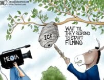 Branco Cartoon – ICE Derangement Syndrome