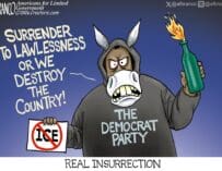 Branco Cartoon – The Mobocrat Party